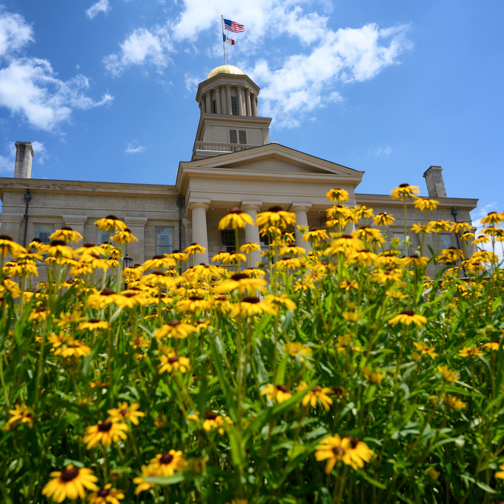 Old capitol building with yellow flowers