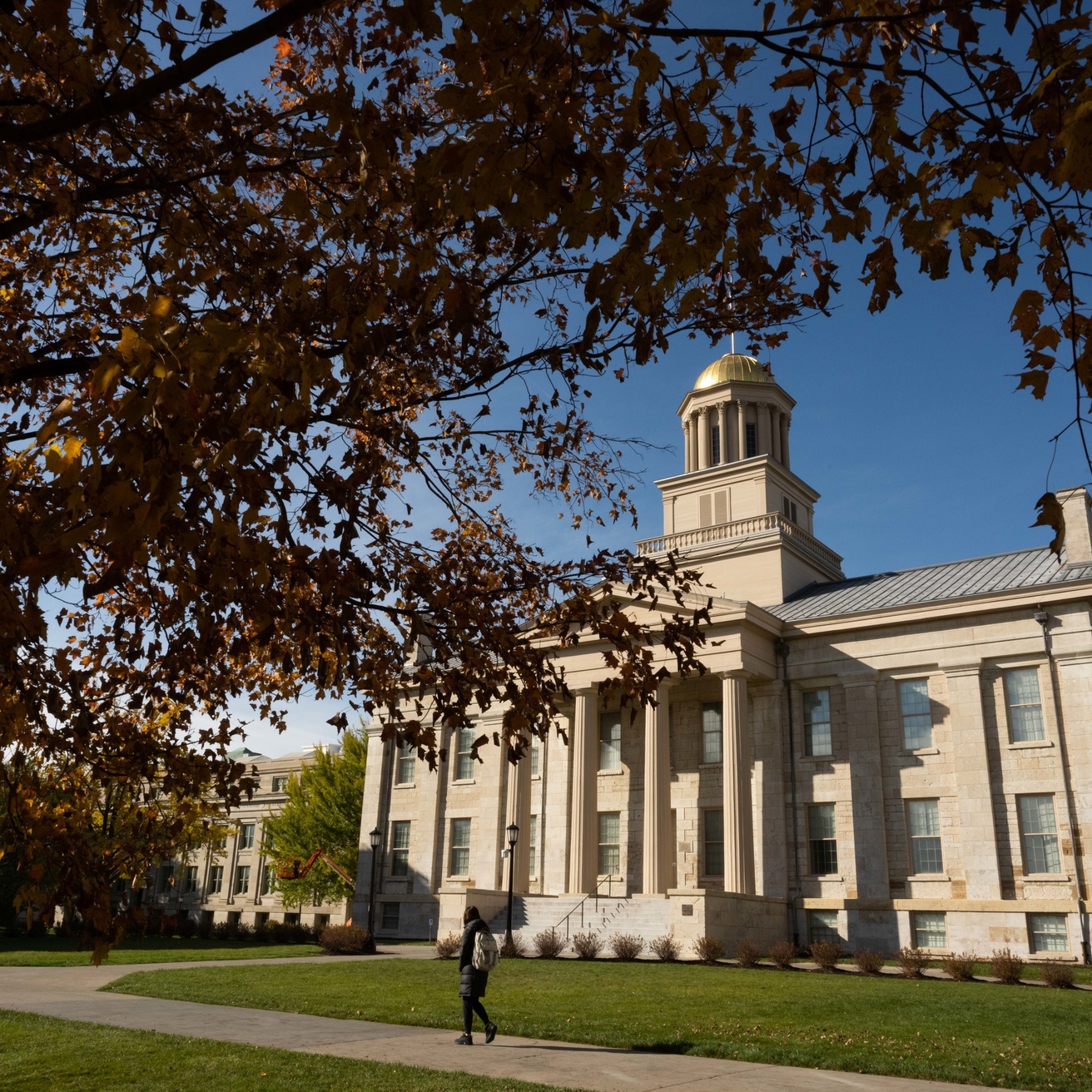 Fall on campus