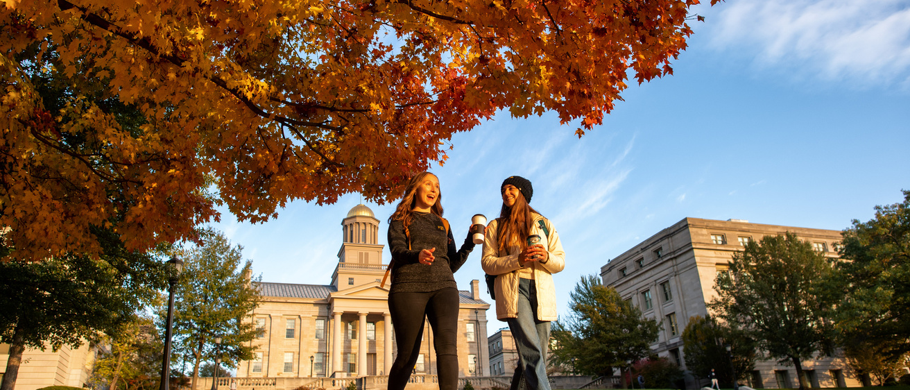 Students walking and talking in fall leaves