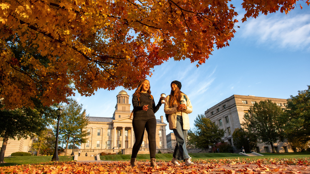 Students walking and talking in fall leaves